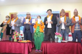 चितवनका पत्रकार वसन्त पराजुलीको ‘मोम्चो कथासङ्ग्रह’ सार्वजनिक