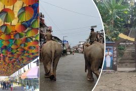 चितवनको भविष्य पर्यटन