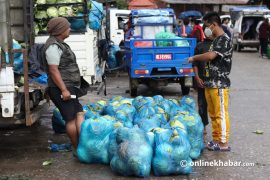 इच्छाकामना गाउँपालिकाले तरकारी ढुवानी गर्न कृषि एम्बुलेन्स चलाउने