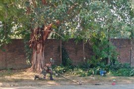 नेपाली सेनाद्वारा प्रेसर कुकर बम निष्क्रिय
