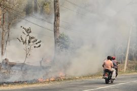 निकुञ्ज र सामुदायिक वनमा डढेलो लाग्दा चितवनमा खपिनसक्नु वायु प्रदुषण