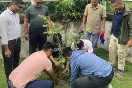 राष्ट्रिय युवा संघ नेपाल भरतपुरद्वारा एक महिने वृक्षारोपण अभियान सुभारम्भ