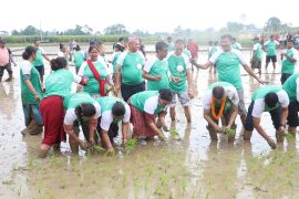 भरतपुरमा मनाइयो धान दिवस एवम् रोपाइँ महोत्सव