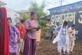आर्दश आमा समूहद्धारा फूल खेती