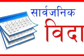 सार्वजनिक बिदा पुनरावलोकन गर्न कार्यदल गठन गरिने