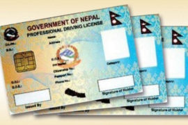 ट्रायलमा फेल, लाइसेन्समा पास