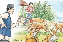 ‘बाँदरले बसिखान दिएन’