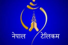वेबसाइटबाटै चाहिएको टेलिफोन नम्बर पाइने