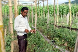 राजनीतिसँगै तरकारी खेतीमा खुसीराम