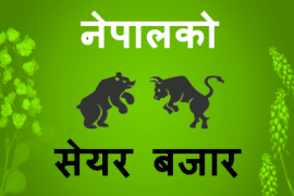 सेयर बजारको उछाल शंकाको घेरामा