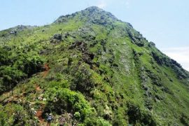 पदयात्राको गन्तव्य बन्दै ‘देवचुली डाँडा’