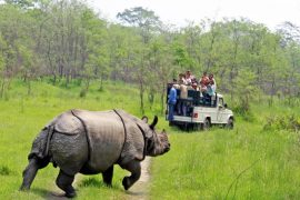 ‘नेपाललाई गैँडाको देश भनेर चिनाउन सकिने’