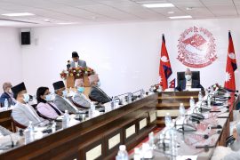 साना तथा घरेलु उद्योग संरक्षणका लागि २ अर्ब ७७ करोड रकम विनियोजन