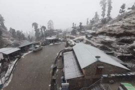 मकवानपुरको सीमभञ्ज्याङ र अघोरमा हिउँ पर्‍यो