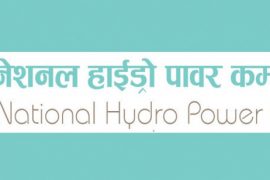 नेशनल हाइड्रोपावरको लाभांश घोषणा, ५०% हकप्रद पनि जारी गर्ने