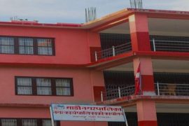 दोहोरो सुविधा लिने माडीका तीन वडाध्यक्ष