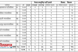 चितवनमा एमाले : आफ्नै साख जोगाउन सकस