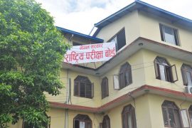 एसईईको नतिजा प्रकाशित