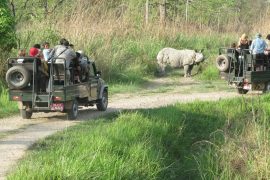 नौ महिनामा २ लाख बढी पर्यटकले घुमे चितवन राष्ट्रिय निकुञ्ज