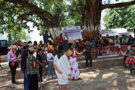 चितवन राष्ट्रिय निकुञ्जको मध्यवर्ती क्षेत्रमा बाघ संरक्षणका लागि सडक नाटक