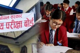 एसईई खारेज गर्ने सरकारको प्रस्ताव, माविको शिक्षक हुन एमए गर्नुपर्ने
