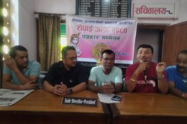 नारायणी कला मन्दिरले रोपाइँ जात्रा निकाल्ने