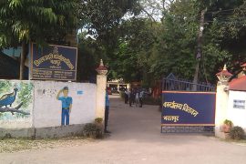 सुरक्षित रहि चाडपर्व मनाऔं : चितवन प्रहरी