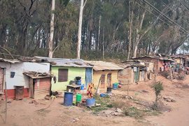चितवनका पाँच सय भूमिहीनलाई जग्गाधनी प्रमाणपत्र वितरण गरिने
