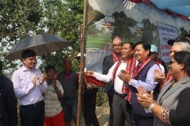 चितवनको इच्छाकामना गाउँपालिका पूर्ण विद्युतिकरण घोषणा, विकट चेपाङबस्तीमा पुग्यो बिजुली
