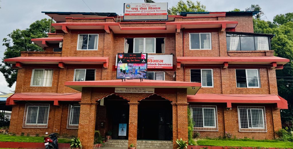 पशु सेवा विभागले भन्यो- १ साउनयता बर्डफ्लु संक्रमण देखिएको छैन
