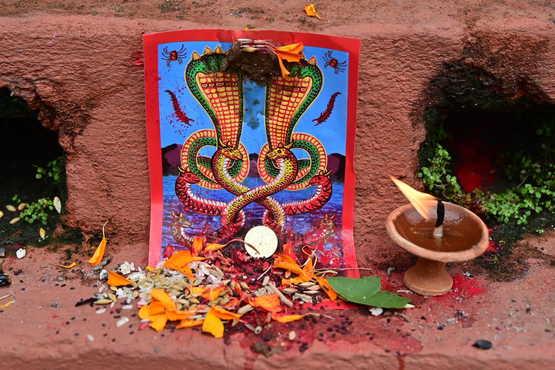  श्रावण शुक्ल पञ्चमीः नागको पूजा, आराधना गरी नागपञ्चमी पर्व मनाइँदै